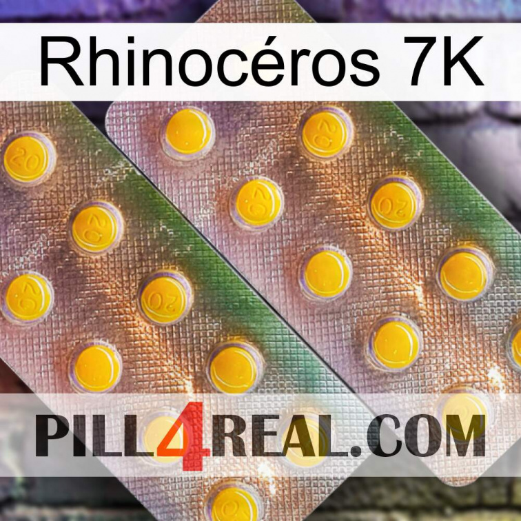 Rhinocéros 7K new10
